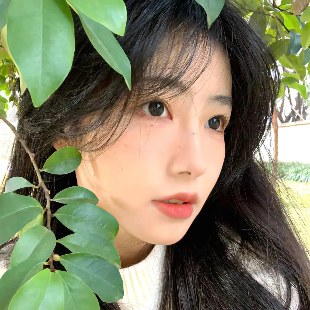 刀剑笑新传之花魁